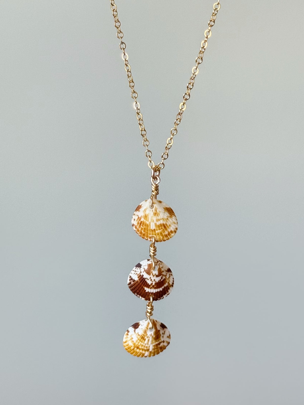 Gold Filled Stacked Scallop Shell Necklace