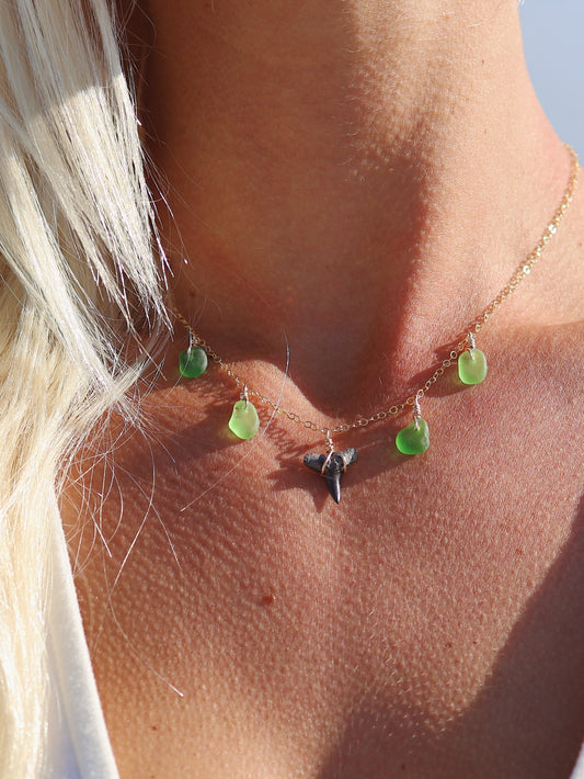Gold Filled Shark Tooth & Sea Glass Multi Necklace