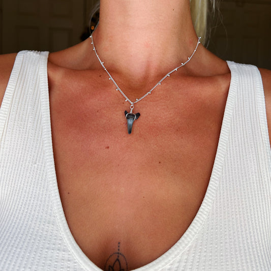 Silver Shark Tooth Necklace