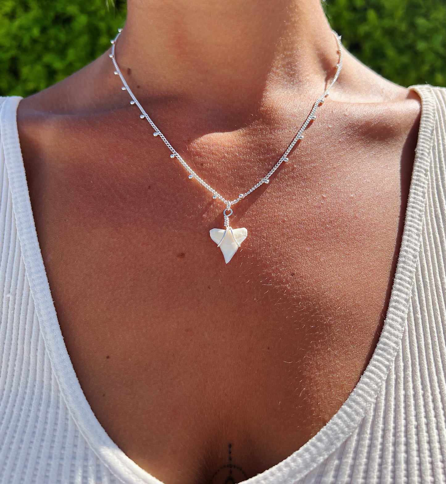 White Shark Tooth Silver Necklace