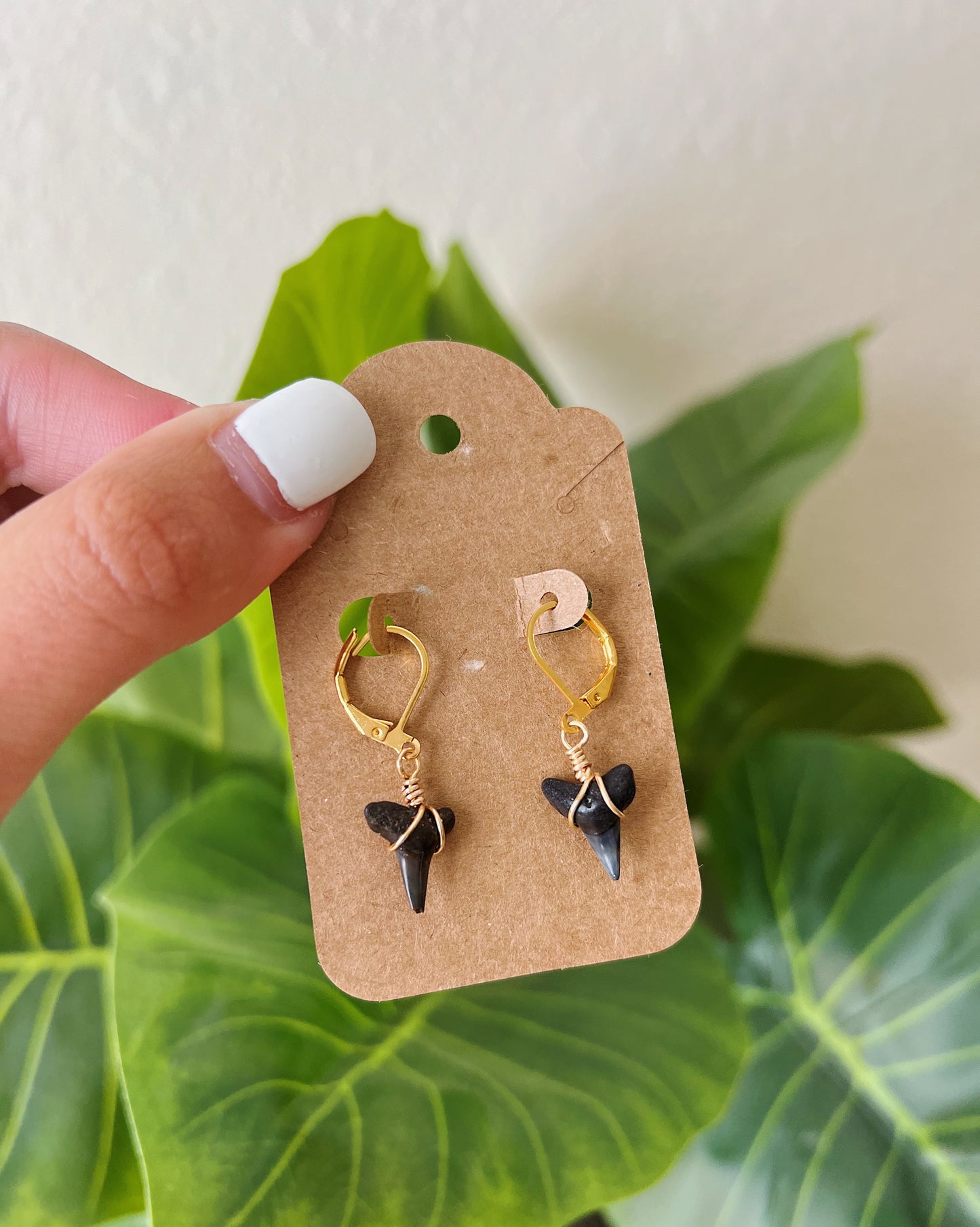 18k Gold Shark Tooth Earrings