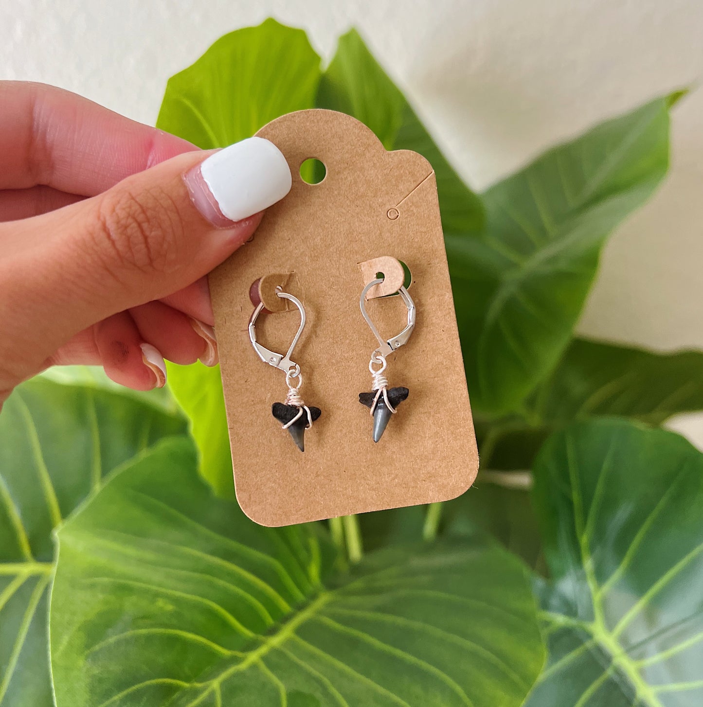 Silver Shark Tooth Earrings