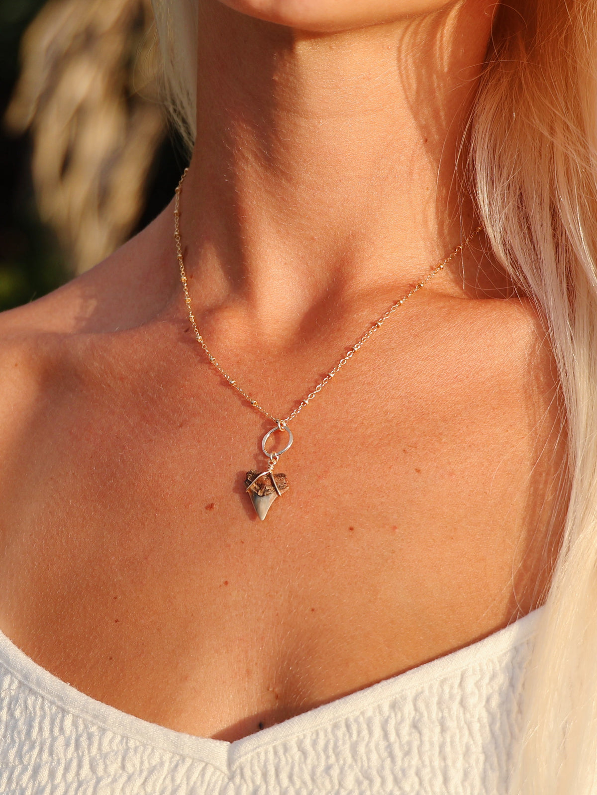 Gold Filled Satellite Light Tan Shark Tooth Necklace