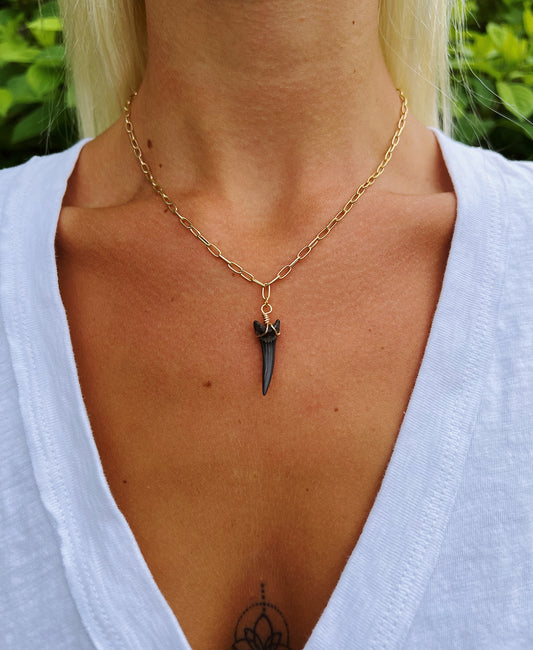 Paperclip Chain Shark Tooth Necklace