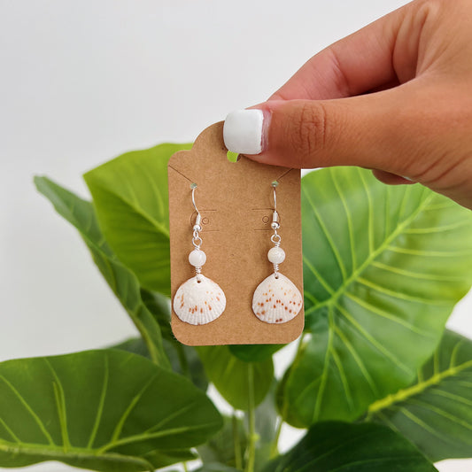 Silver Cayman Shell & Mother of Pearl Earrings