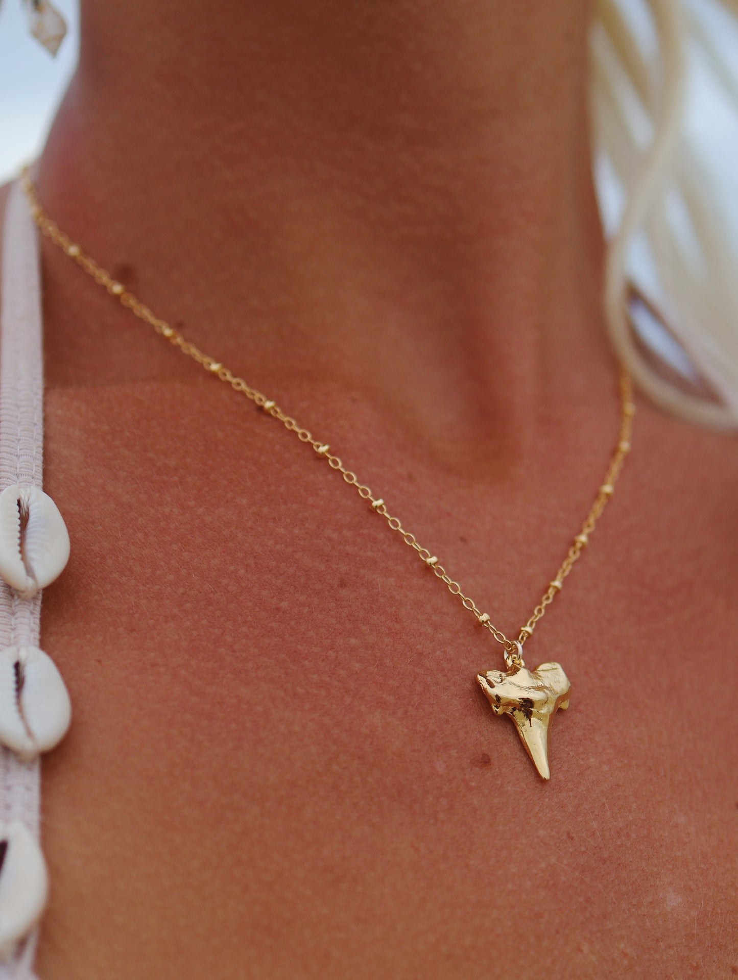 Gold Filled Shark Tooth Large Charm Necklace