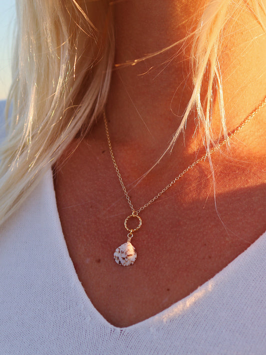 Gold Cayman Shell Hammered Circle Necklace