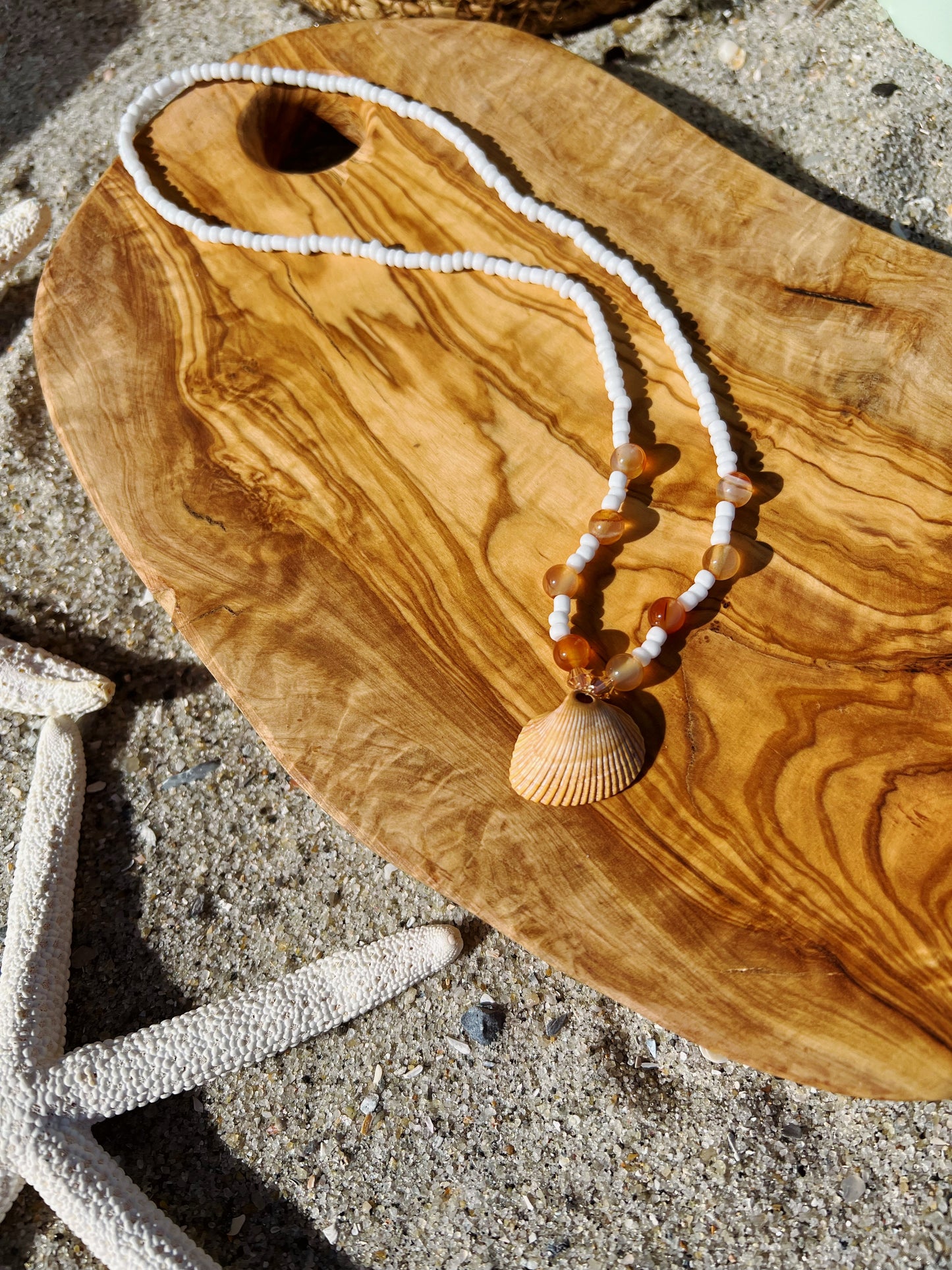 Carnelian Shell Necklace