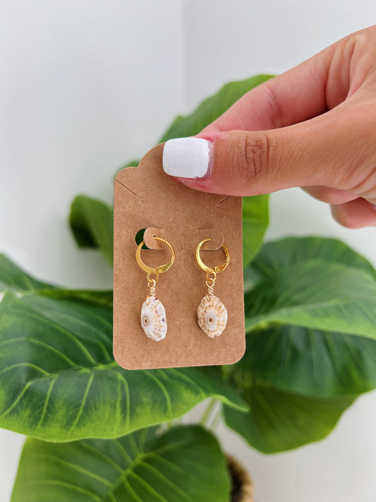 Limpet Shell Gold Hoop Earrings