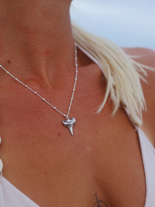 Sterling Silver Shark Tooth Large Charm Necklace