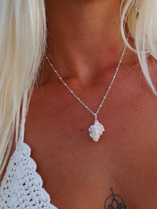 Sterling Silver Apple Murex Shell Necklace