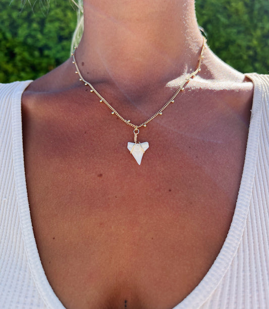 White Shark Tooth Gold Necklace