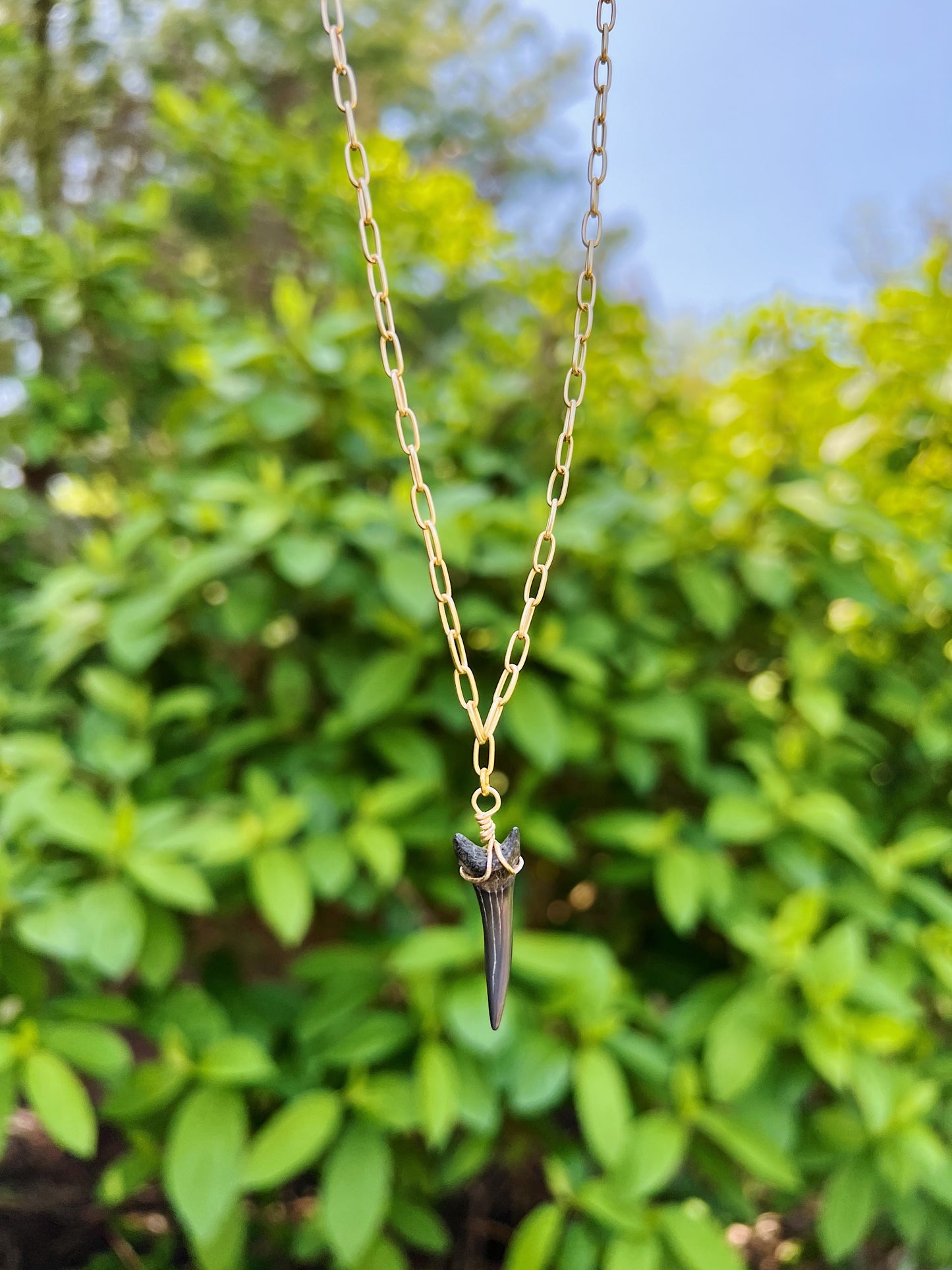 Paperclip Chain Shark Tooth Necklace