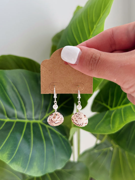 Silver Cayman Shell & Pearl Hoop Earrings
