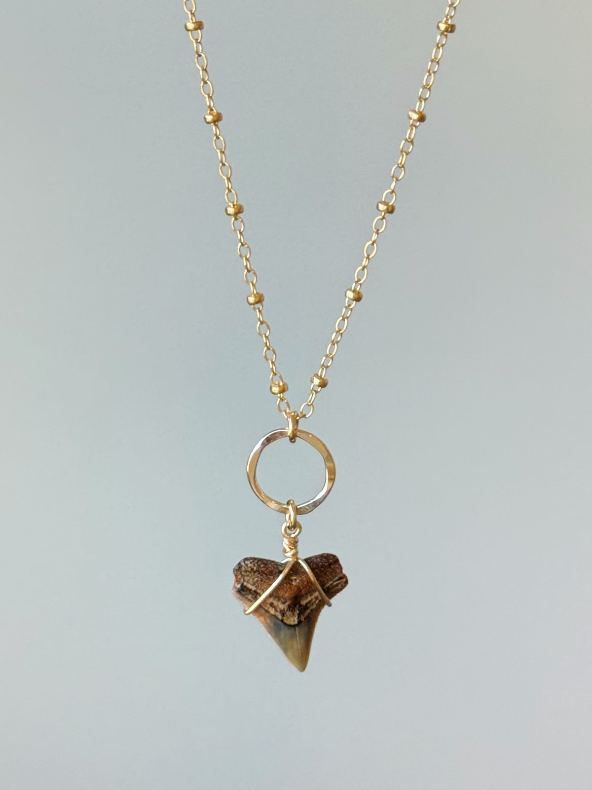 Gold Filled Satellite Light Tan Shark Tooth Necklace